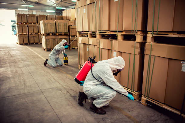 Best Pest Control Near Me  in Landover Hills, MD