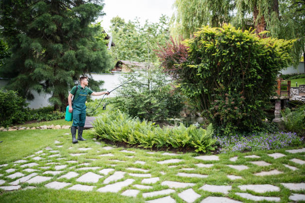 Best Pest Removal Services  in Landover Hills, MD