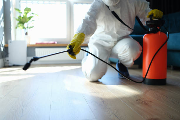 Best Affordable Pest Control Services  in Landover Hills, MD