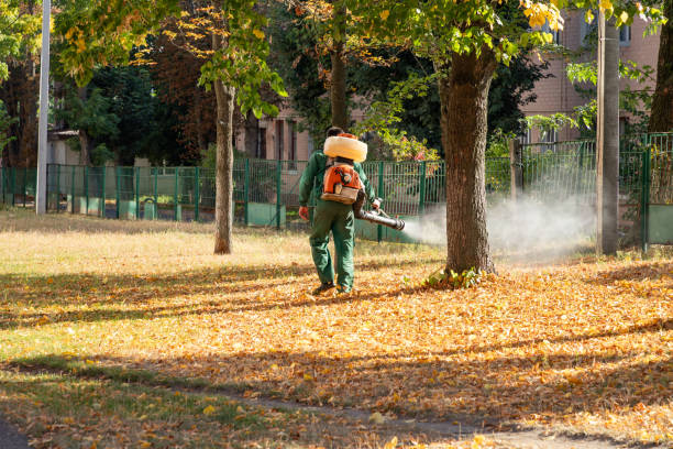 Best Pest Control Treatment  in Landover Hills, MD